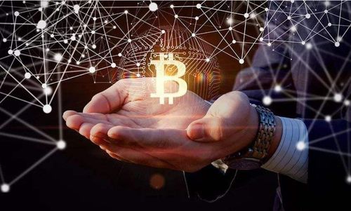 Bitcoin mining equipment operating efficiently within a German hosting data center